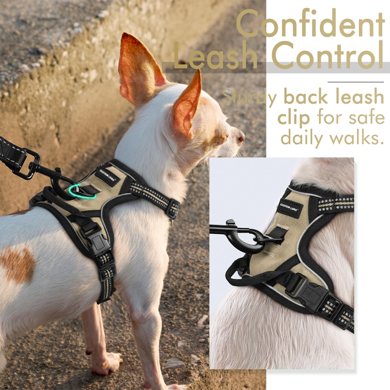 Pet Dog Harness Supplier - Comfortable Mesh Padded Adjustable