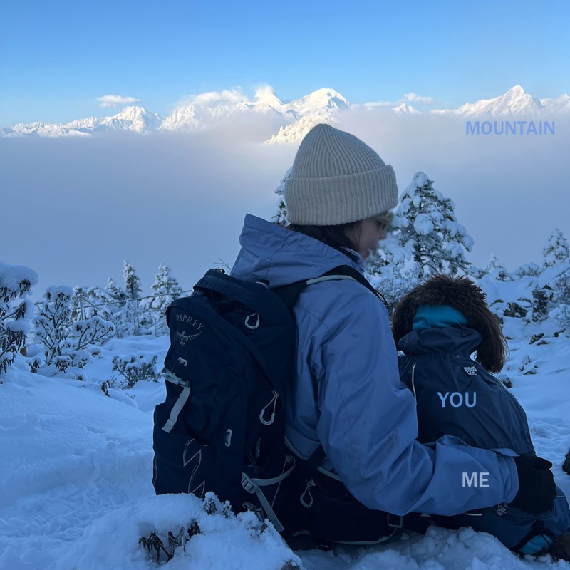 Pet Raincoat Factory - Luxury Simple Waterproof Fully Embossed