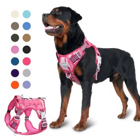 Dog Harness Set Factory - Oxford Solid Print Mesh Neoprene