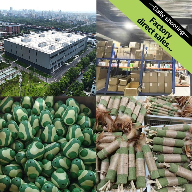 Pet Toys Supplier - Factory Price Spin Mint Cat Nip