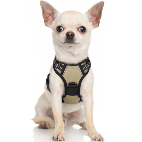 Pet Dog Harness Supplier - Comfortable Mesh Padded Adjustable