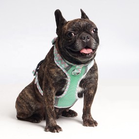 Dog Harness Manufacturer - Reflective Breathable Mesh No Pull