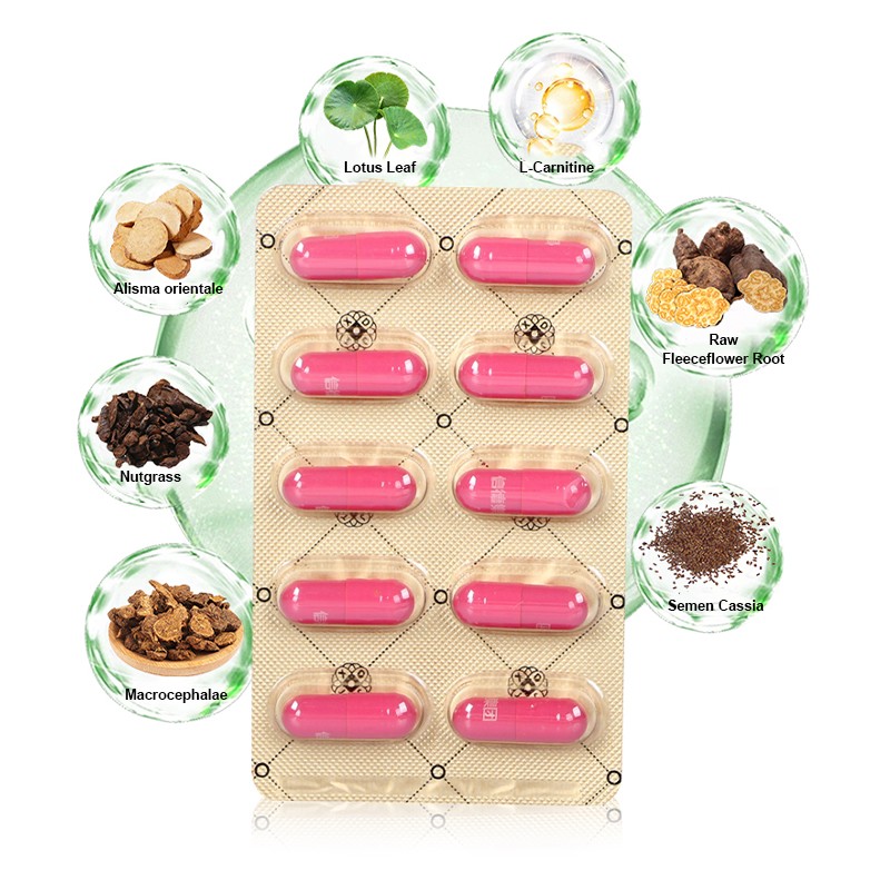 L-Carnitine Capsules Factory - Hot Sale Fat Burner Weight Loss Supplement for Adults