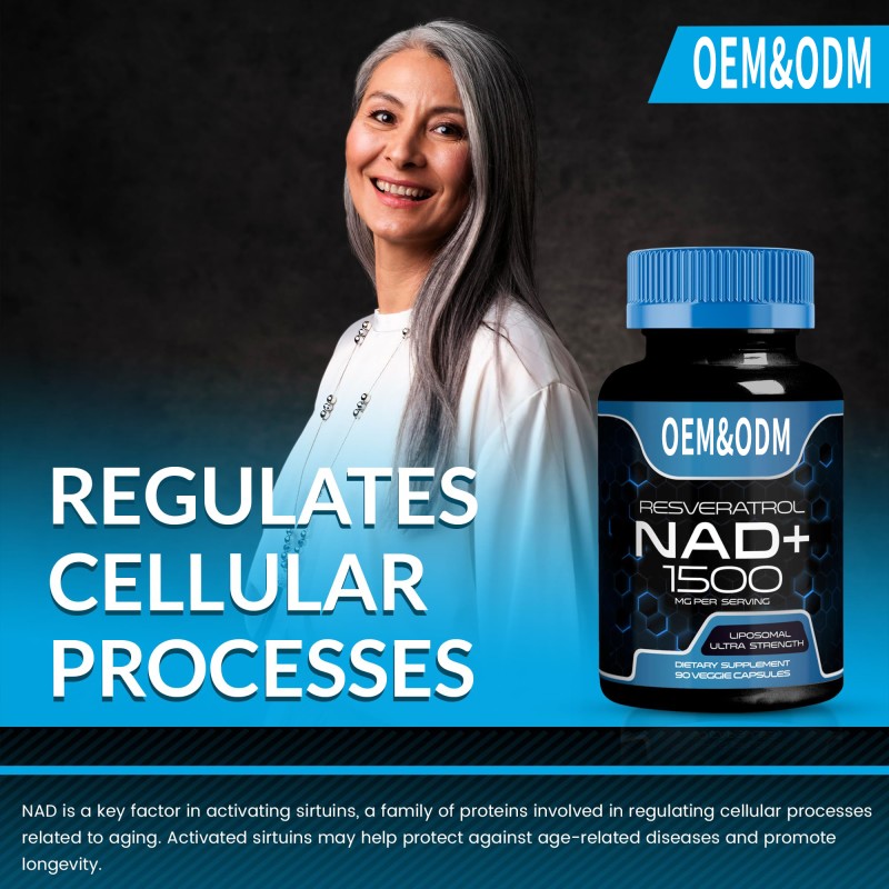 Men Fertility Capsules Supplier - OEM Customization Prebiotics Hard Enhanced Energy Ginseng