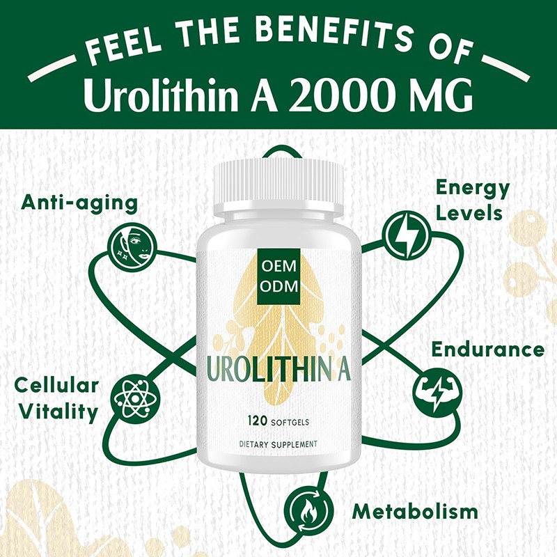 GABA 5-HTP Liquid Drops Manufacturer - Private Label Ultra-Potent Raspberry Flavored Magnesium