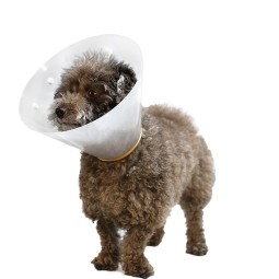 Dog Leash Supplier - Custom Print Nylon Automatic Retractable Training