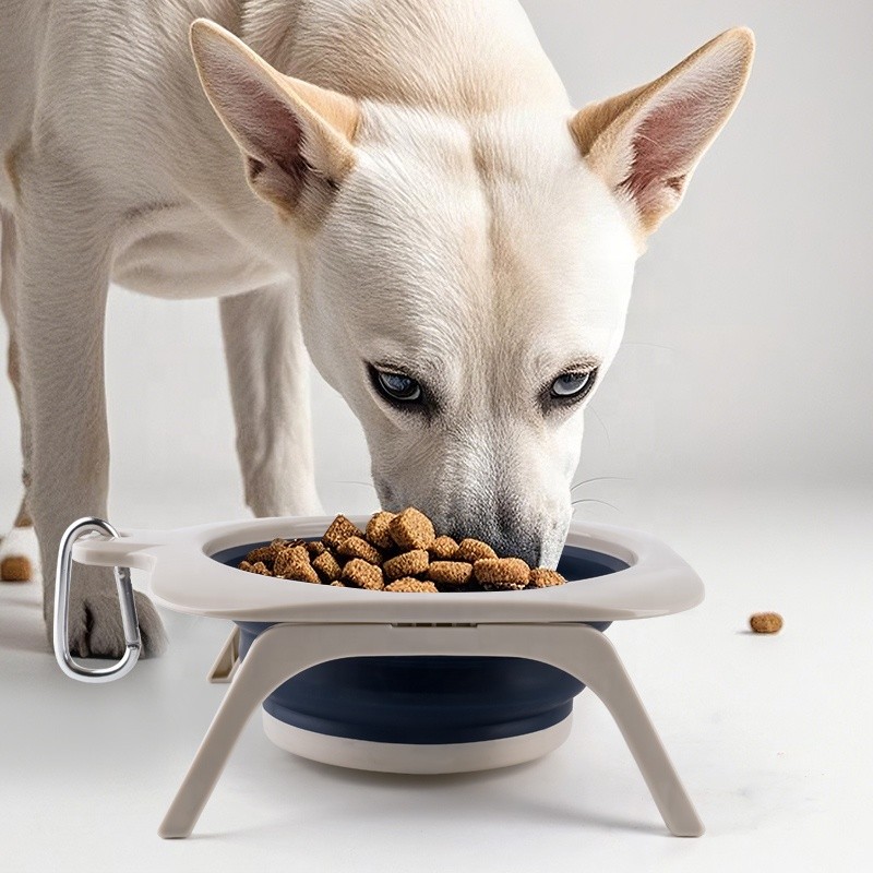 Dog Water Bowl Manufacturer - Portable Foldable Feeding Dish Travel Use