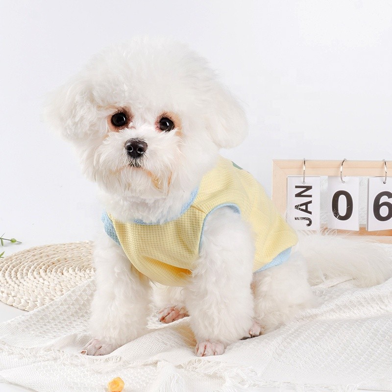 Pet Sweatshirts Factory - Wholesale Soft Breathable Printed Shirts