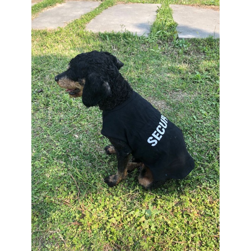 Dog Clothes Supplier - OEM Custom Logo Cotton Breathable Summer