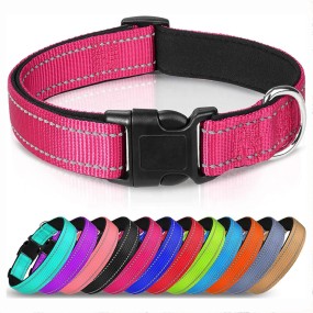 Dog Bungee Leash Manufacturer - Adjustable Soft Neoprene Padded