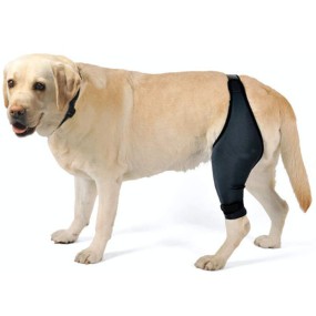 Dog Knee Support Supplier - Adjustable Polyester ACL Recovery
