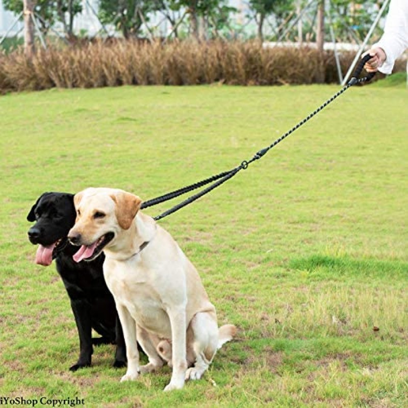 Double Dog Leash Supplier - 360 Swivel Shock Absorbing Bungee