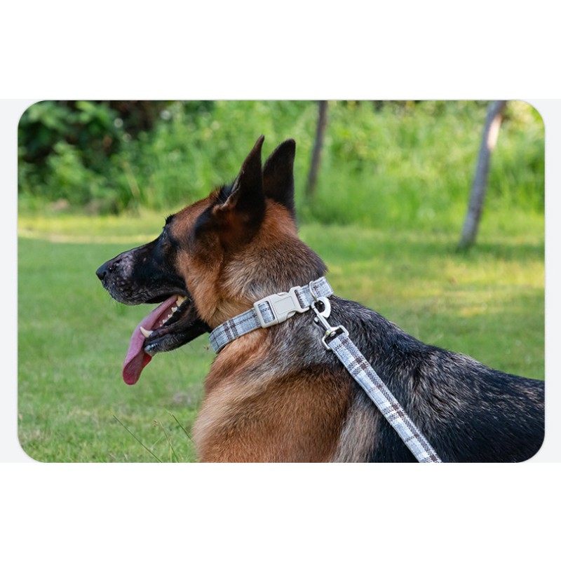 Dog Collar Supplier - Direct Supply Linen Reflective Sustainable
