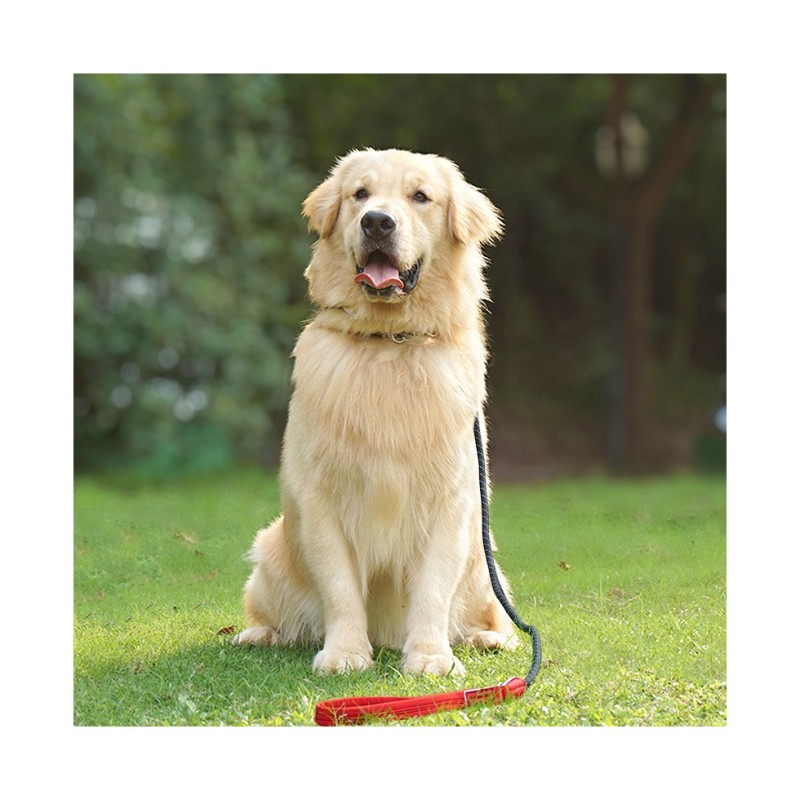 Dog Training Leash Supplier - Durable No Pulling Nylon Rope