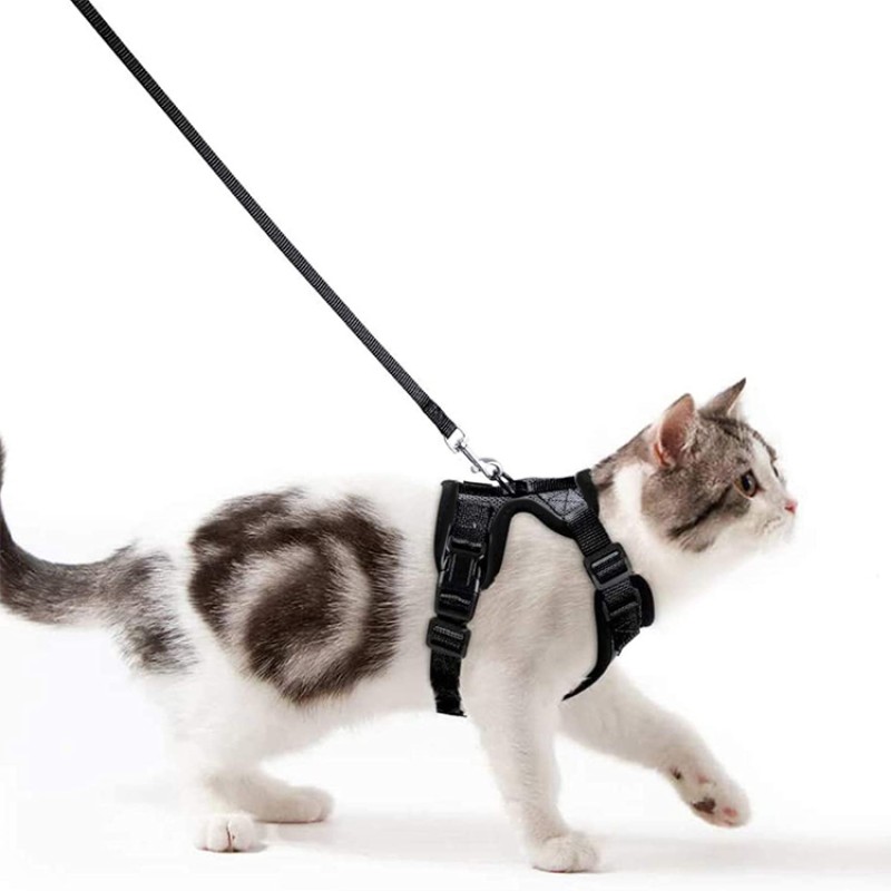 Cat Vest Harness Supplier - Travel Adjustable Wire Mesh Escape