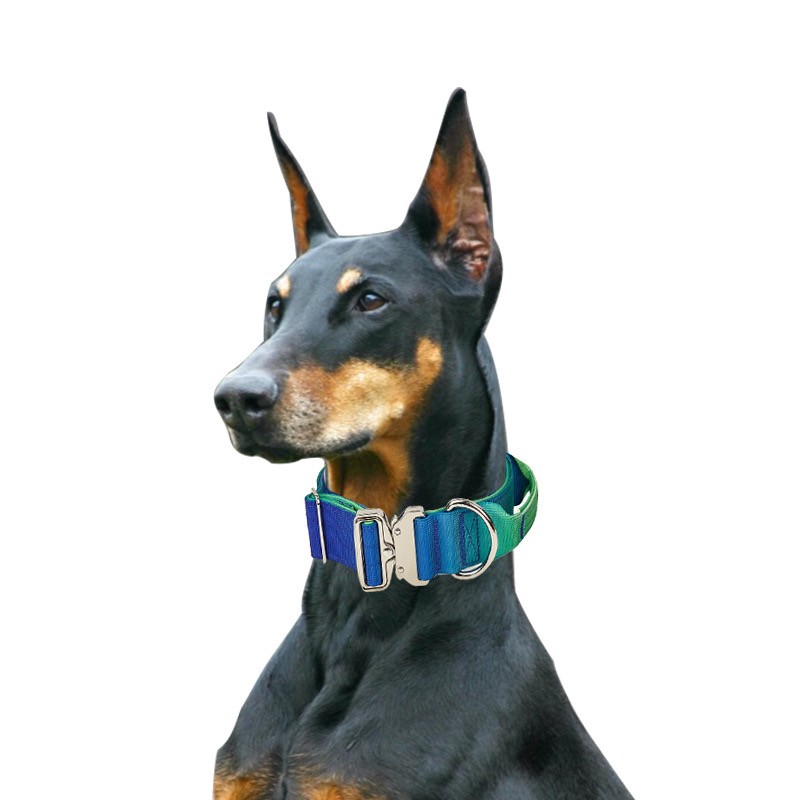 Tactical Dog Leash Supplier - Luxury Gradient Fantasy Colours