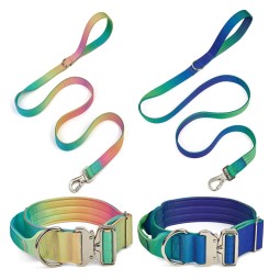 Tactical Dog Leash Supplier - Luxury Gradient Fantasy Colours
