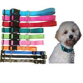 Dog Collar Supplier - Free Sample Wholesale Designer Bandana
