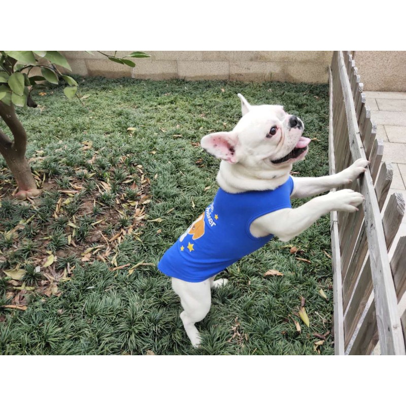 Dog Clothes Supplier - OEM Custom Logo Cotton Breathable Summer