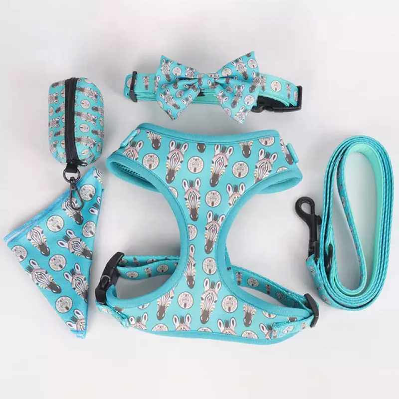 Dog Harness Set Manufacturer - OEM Custom No Pull Adjustable