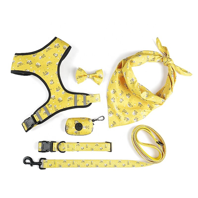 Pet Harness Set Supplier - Padded Sublimation Print Luxury
