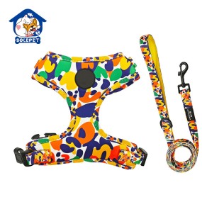 Dog Collar Set Factory - Fully Adjustable Metal Buckle Print Pattern