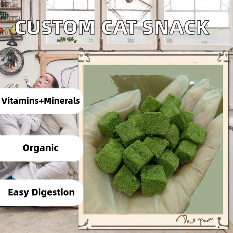 Freeze-Dried Cat Snack Factory - Customizable 100% High Nutrition