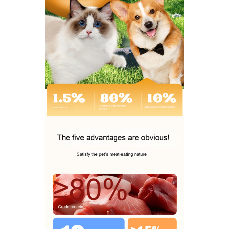 Cat Snacks Manufacturer - OEM Functional Natural Ingredients