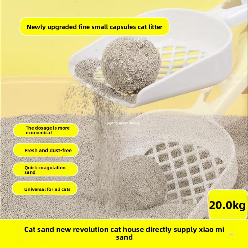 Bentonite Cat Litter Manufacturer - Ultra-Fine 20kg Low Dust