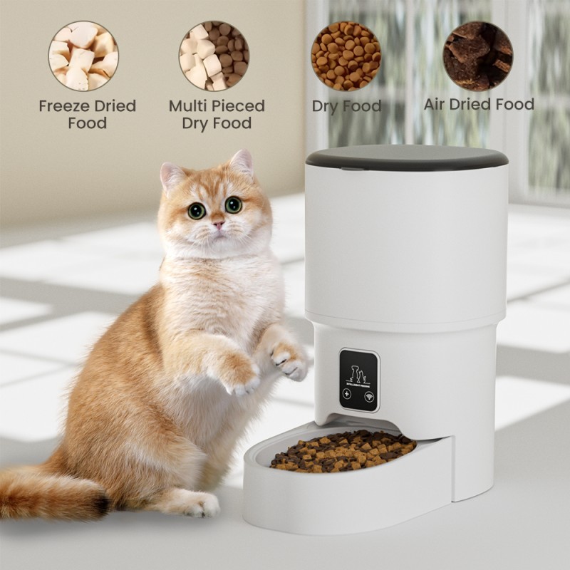 Smart Pet Feeder Manufacturer - Graffiti Wifi Automatic Timed Rechargeable
