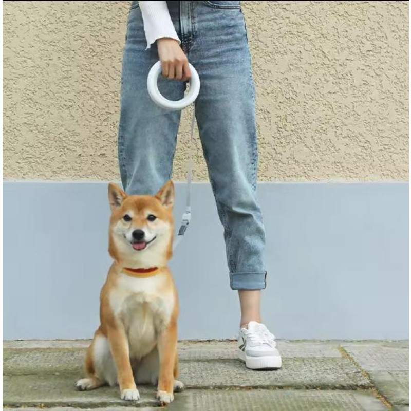 Small Dog Leash Supplier - Lite Version Retractable Safety Rope