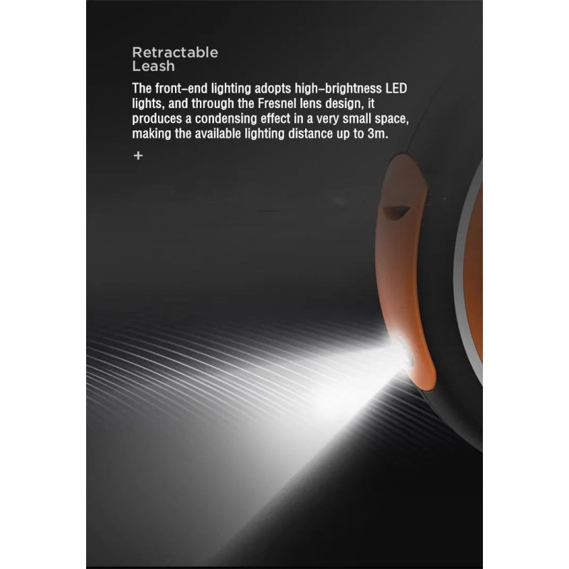 Small Dog Leash Supplier - Lite Version Retractable Safety Rope