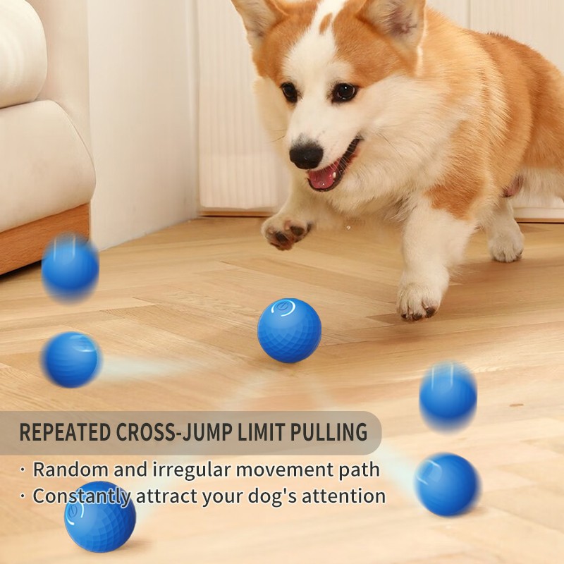 Smart Dog Toy Manufacturer - Newly Upgraded USB Gravity Jumping