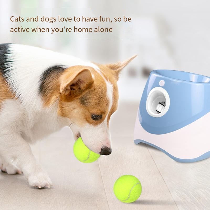 Dog Training Toy Supplier - 2025 Automatic Tennis Ball Launcher