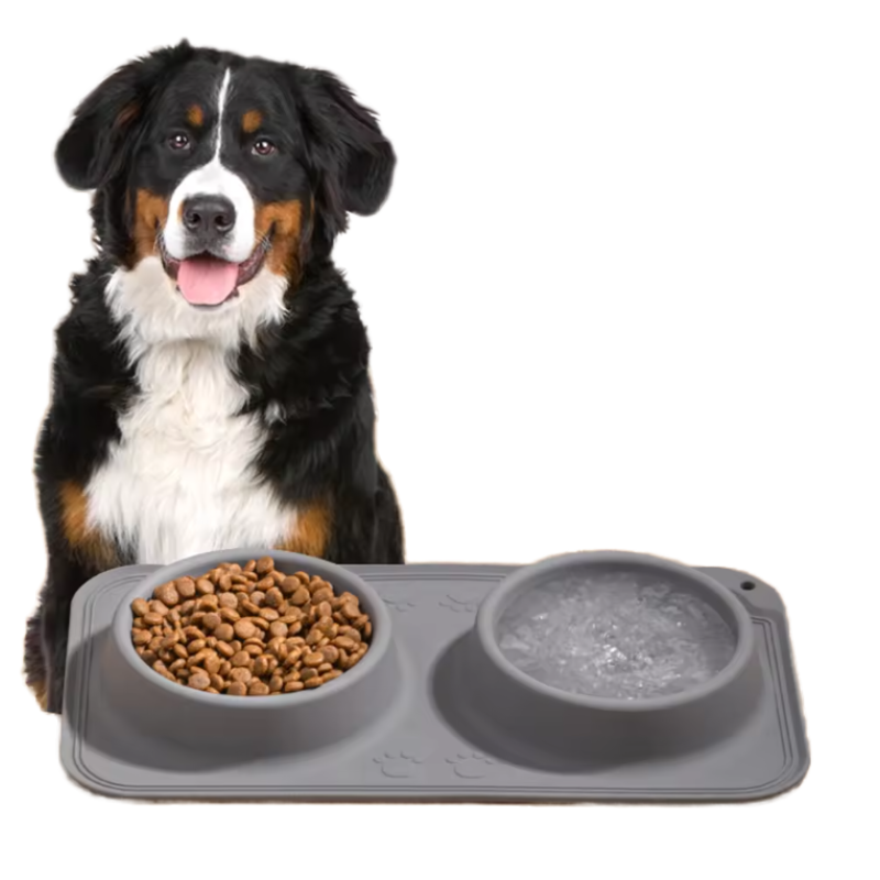 Silicone Dog Bowl Factory - Easy-to-Clean Non-Toxic BPA-Free