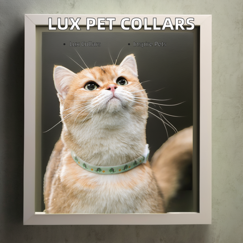 Pet Deworming Collar Factory - 2024 Hot Sale Breakaway Flea-Proof