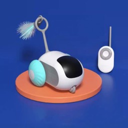 Interactive Pet Toy Manufacturer - USB Rechargeable Remote Car