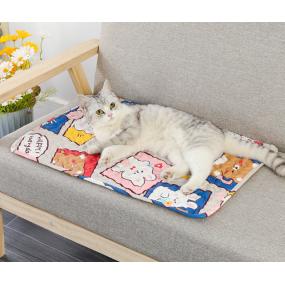 Anti-Slip Pet Mat Supplier - 2024 Hot Selling Waterproof Summer