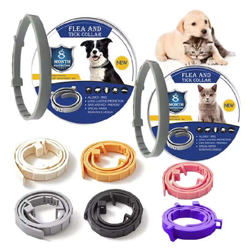 Pet Collar Factory - 2024 Hot Sale Durable Breakaway Outdoor