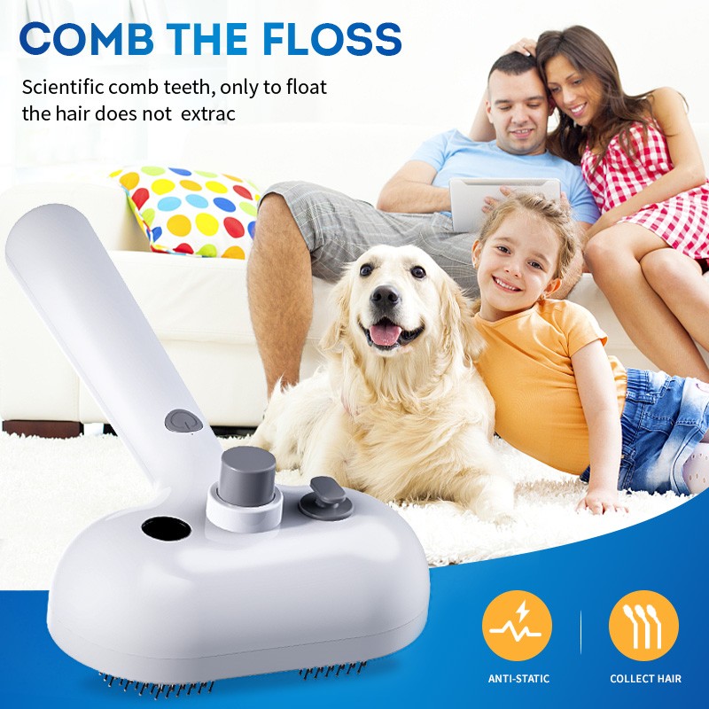 Pet Steam Brush Manufacturer - 3 in 1 Efficient Hair Removal