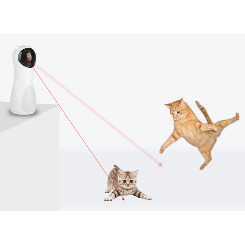 Pet Fishing Rod Factory - Interactive Retractable Feather Bite