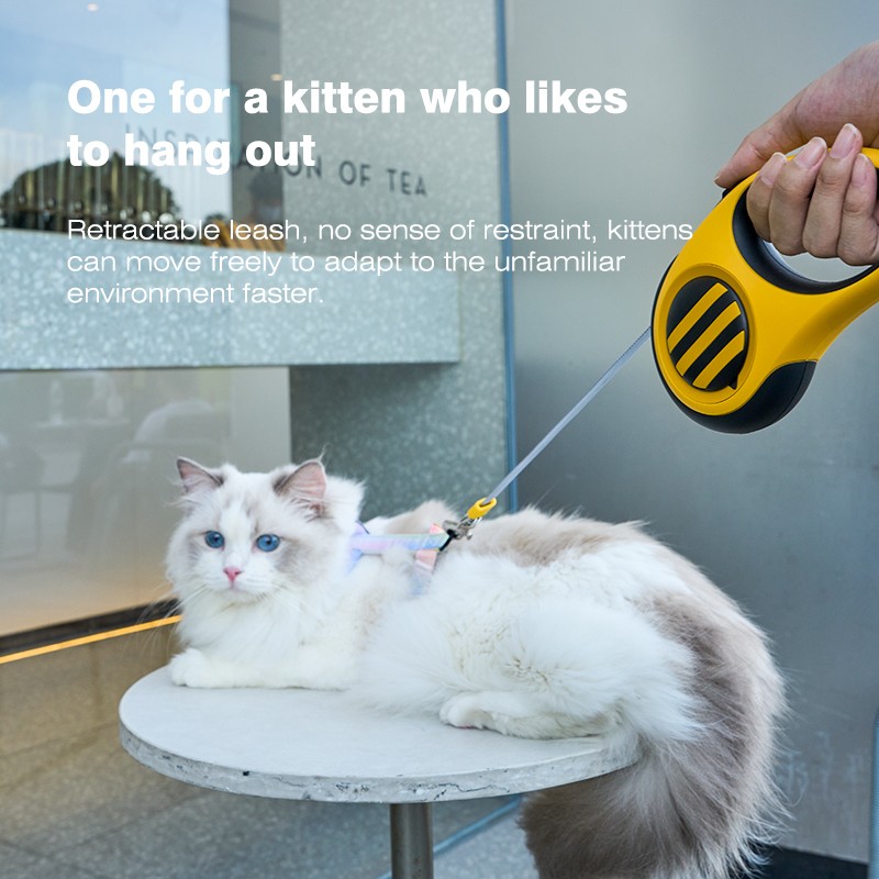 Retractable Dog Leash Supplier - Outdoor Automatic Waterproof Lights