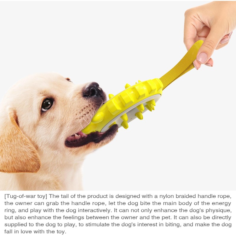 Dog Chew Toys Factory - 2025 Hot Selling Luxury Silicone