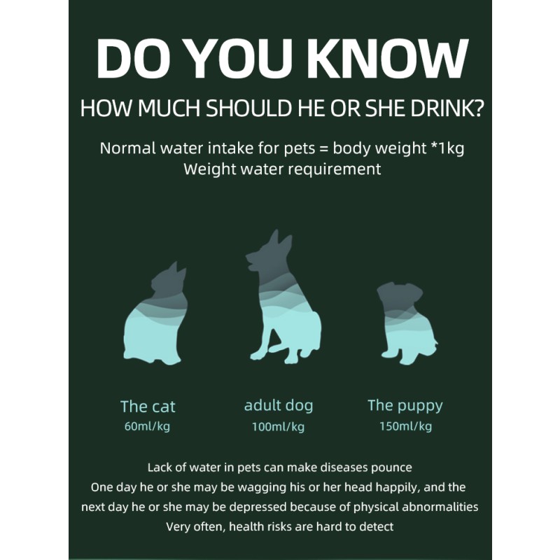 Pet Water Fountain Supplier - 2025 Wholesale Automatic Electric