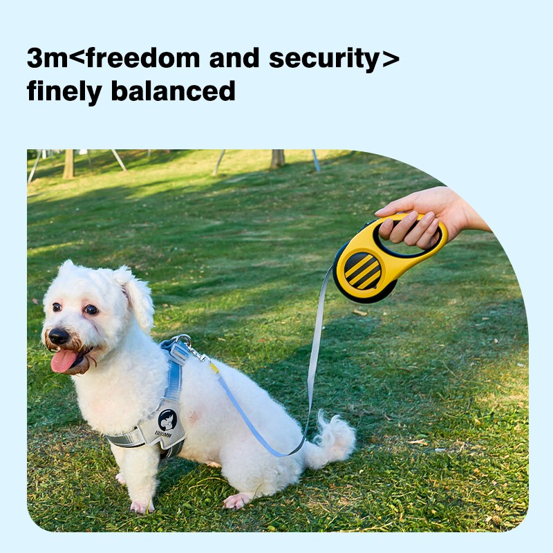 Retractable Dog Leash Supplier - Outdoor Automatic Waterproof Lights