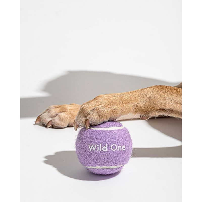 Dog Chew Toys Factory - Free Custom Logo Eco-Friendly Rubber Tennis Balls