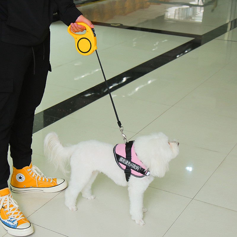 Dog Harness Manufacturer - YS Wholesale Multi-Colors 3M 5M No Pull