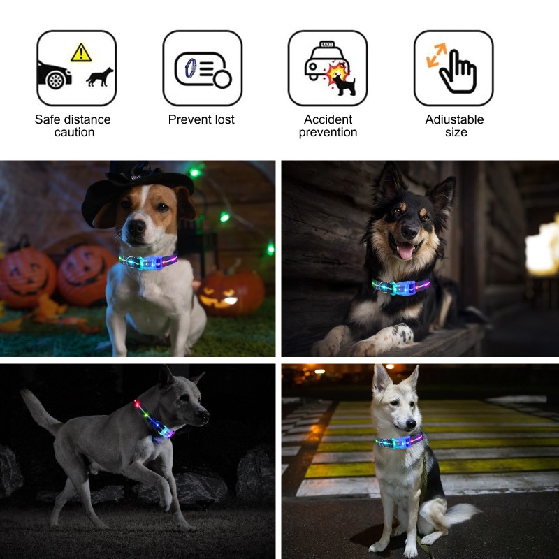 Scrolling Display Dog Collar Factory - USB Rechargeable LED Flash Multi Dog