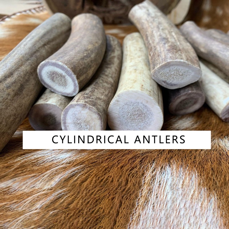 Dog Teething Stick Factory - Natural Antlers Chewable Bones Toy for Dogs