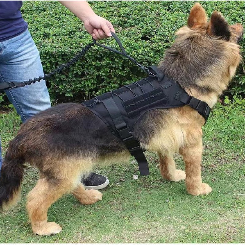 Dog Training Collar Supplier - Customize Logo Color Metal Buckle Tactical